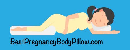 Best Pregnancy Body Pillow